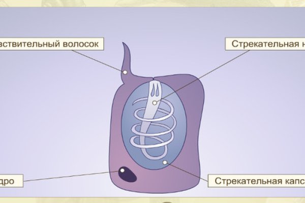 Кракен ссылка на сайт